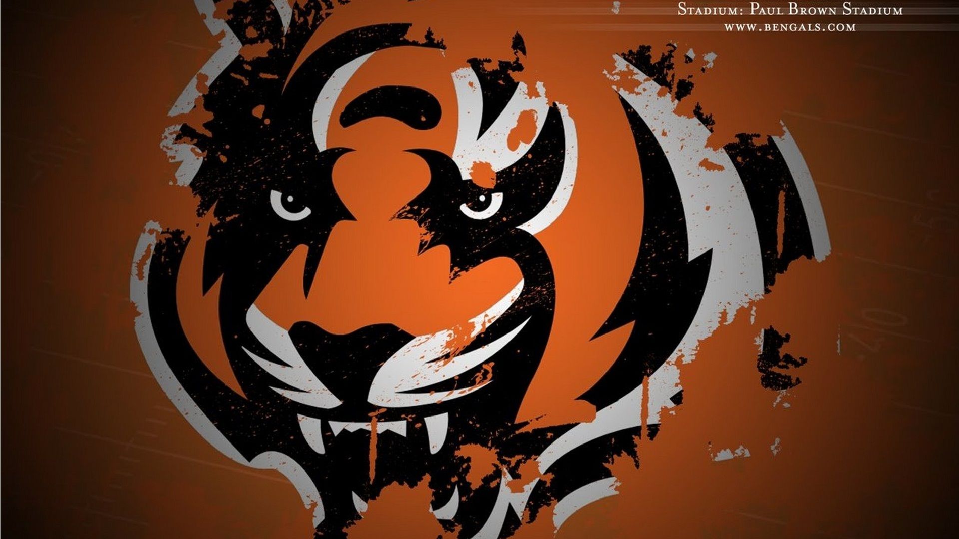 Cincinnati Bengals For Pc Wallpaper