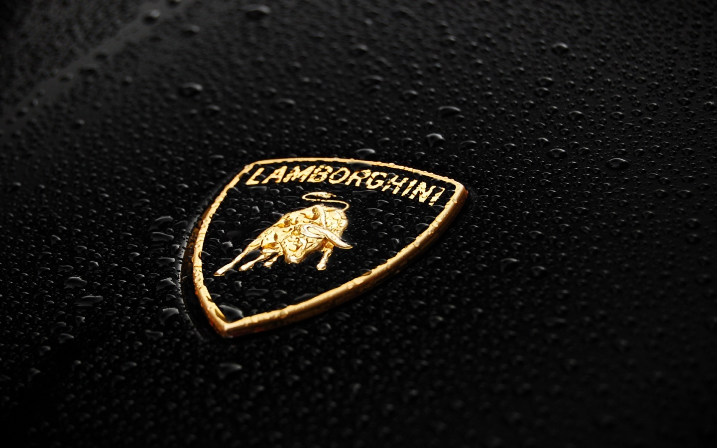 Awesome Lamborghini Logo Water Car S