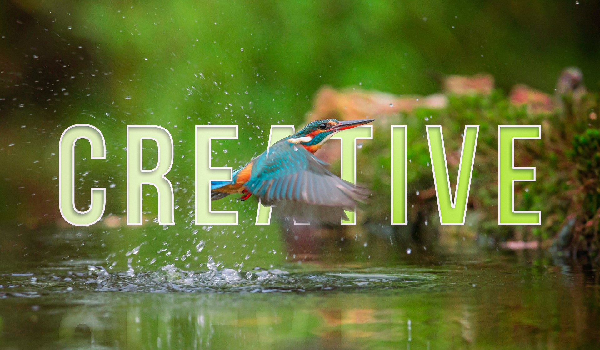 A vibrant kingfisher bird bursts from a shimmering stream, embodying creativity and the beauty of nature