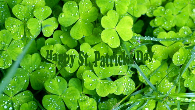 Clover Holiday St Patrick S Day Wallpaper