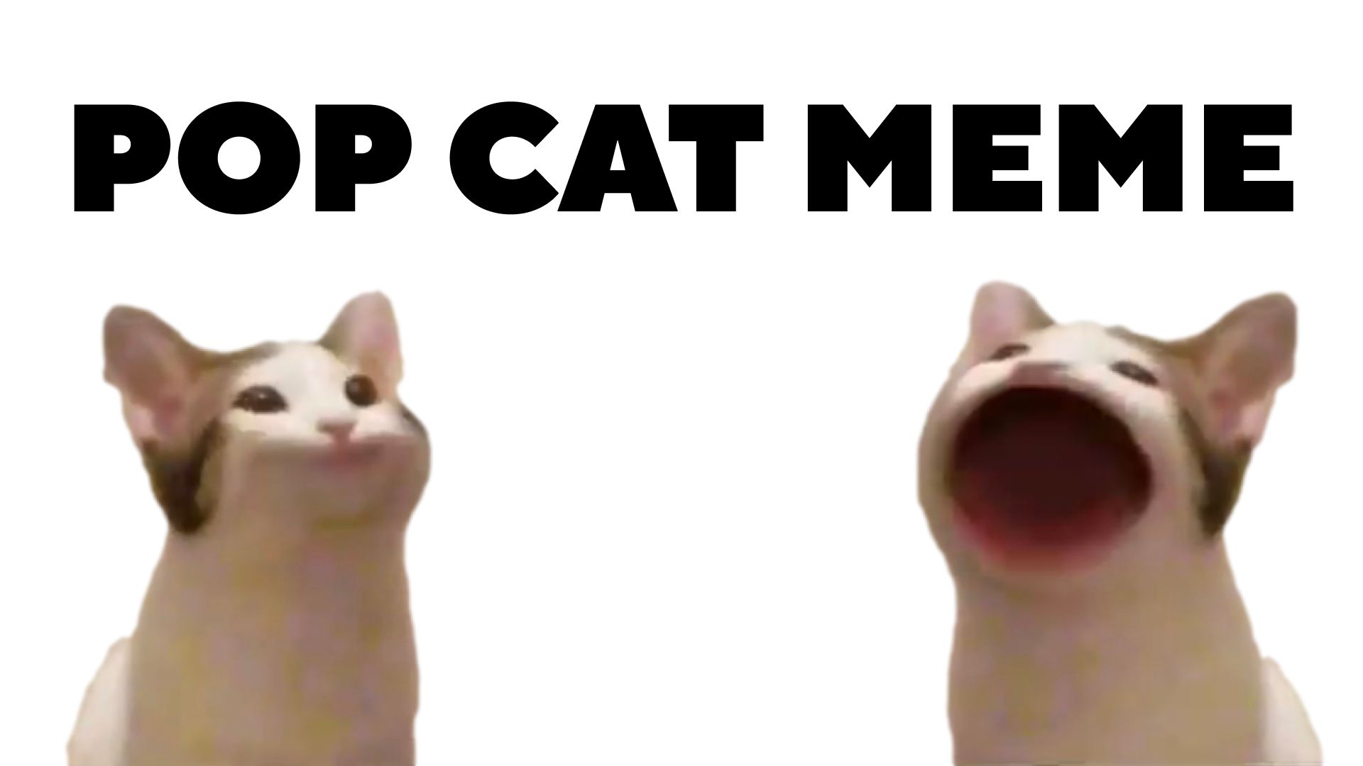 Pop Cat Meme Game Taptap