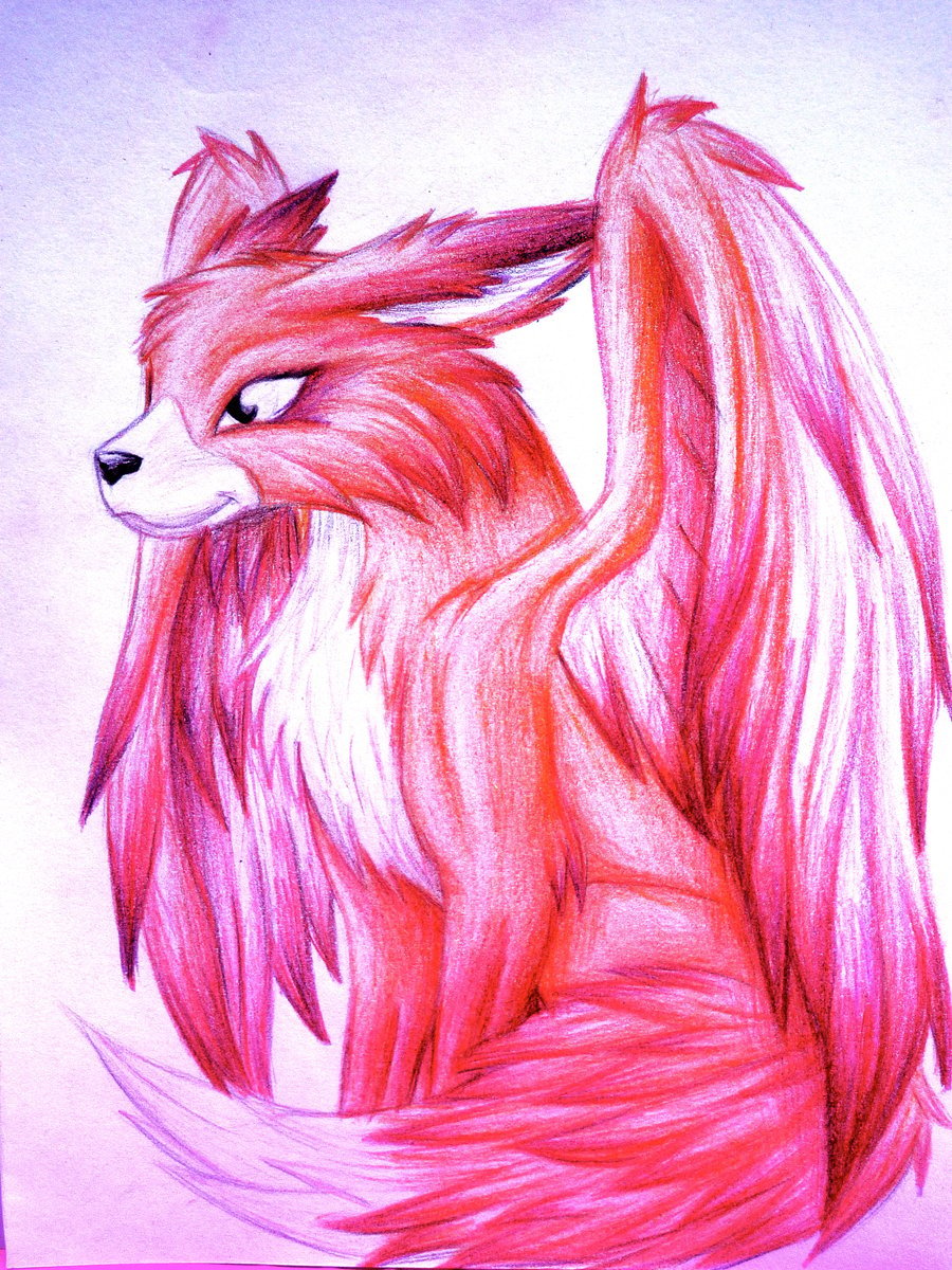 Fox Pink Picture