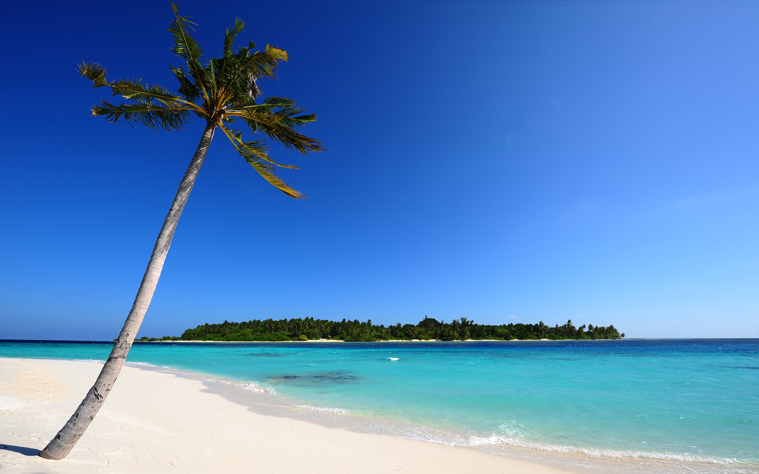 Desktop Background Beach Theme Wallpaper