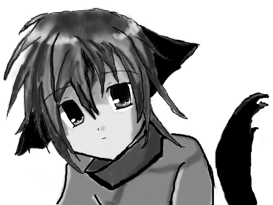 Anime Boy Neko with Blue Hair and Cat Ears - wide 3