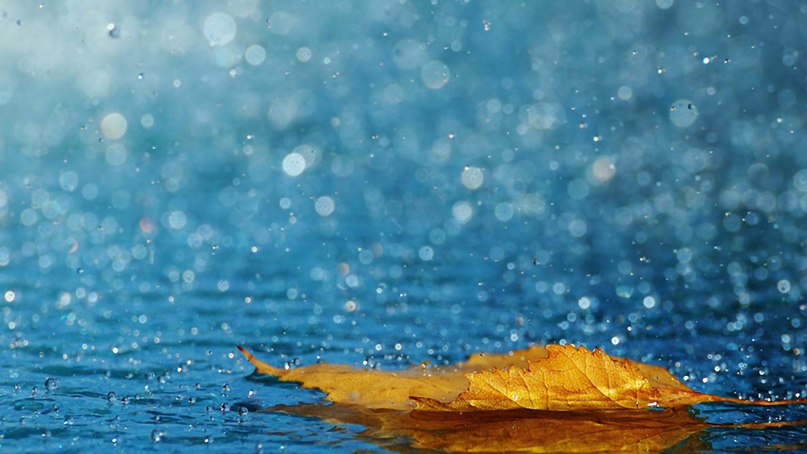 Rain Water Beutiful Wallpaper For Desktop In HD