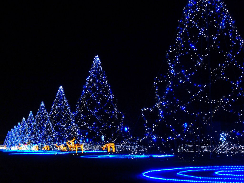 Beautiful Lights On Merry Christmas HD Wallpaper Image
