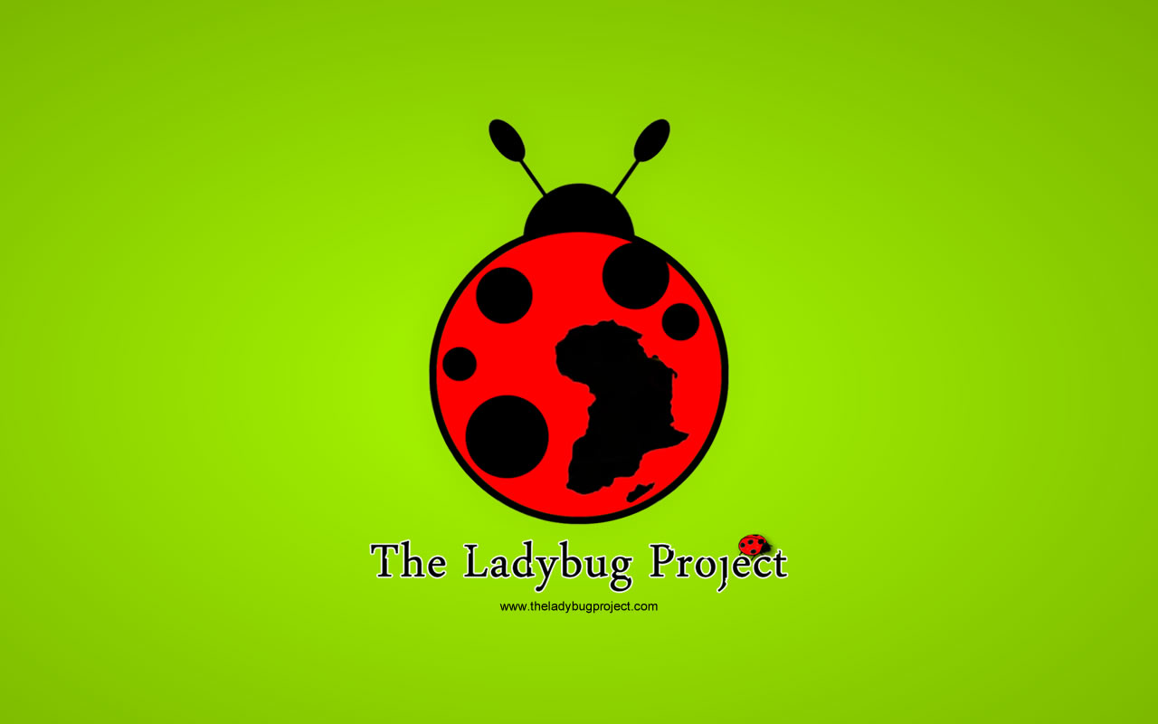 HD Wallpaper Ladybug Love Desktop Pcmac
