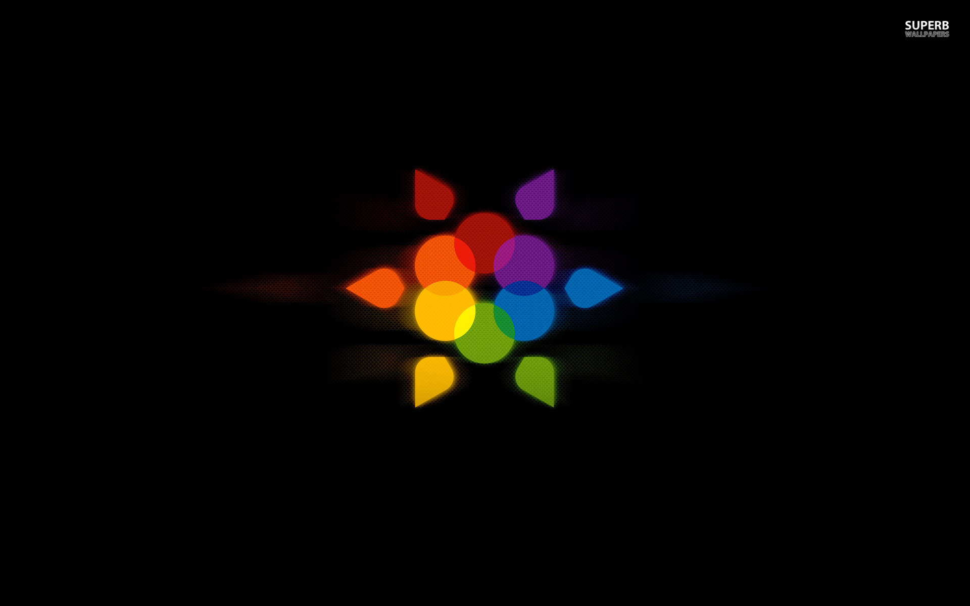 Rainbow Flower Wallpaper HD Background HDesktops