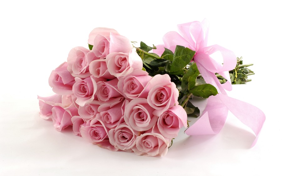 Pink Roses Wallpaper High Definition Quality