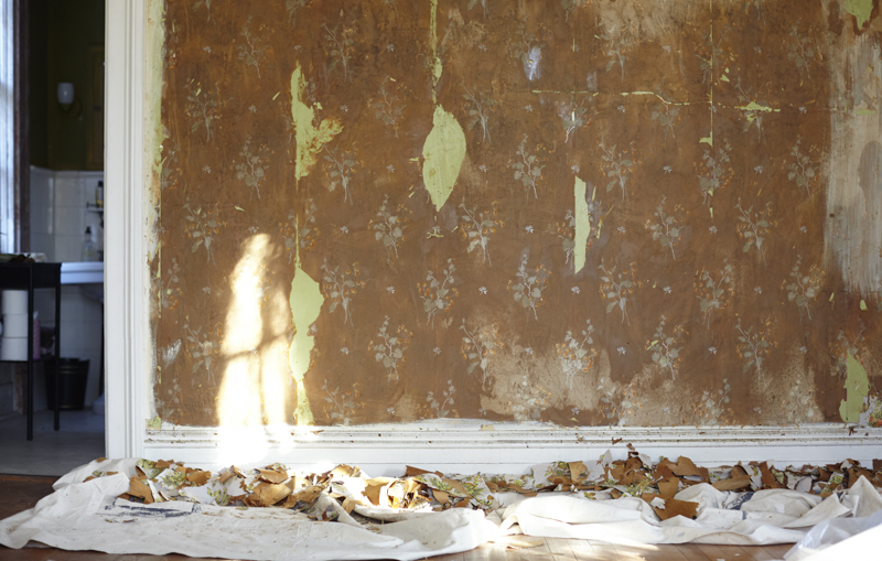 🔥 Free download How to Hang Wallpaper DIY Tips and Tricks from House of