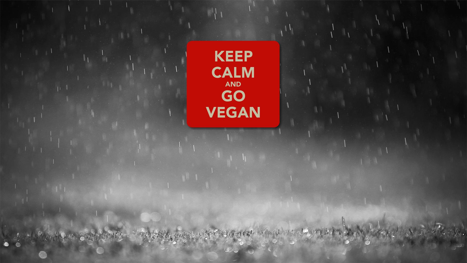 Get Your Free Vegan Vegetarian Wallpapers Creative Resources