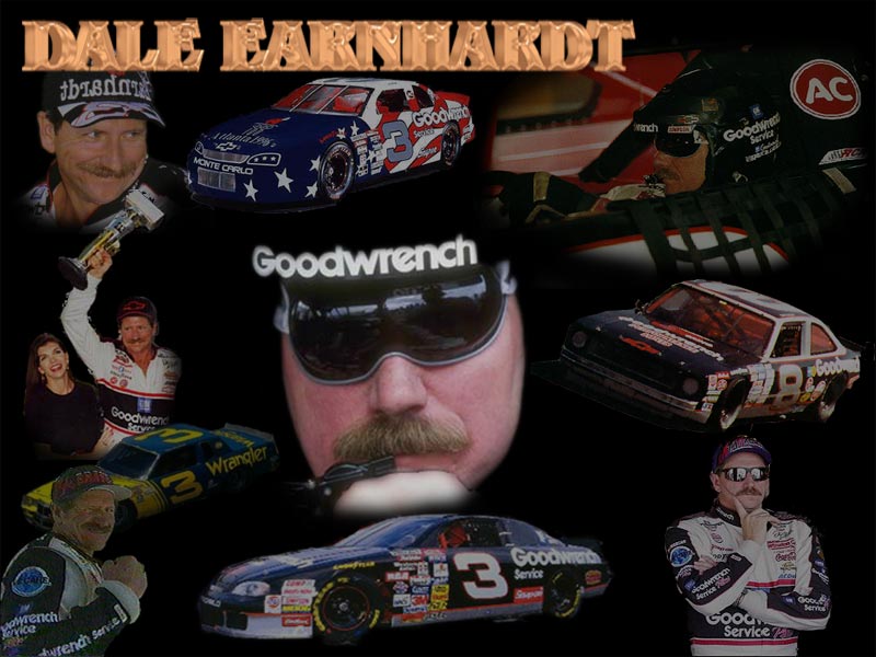 Dale Earnhardt Collage