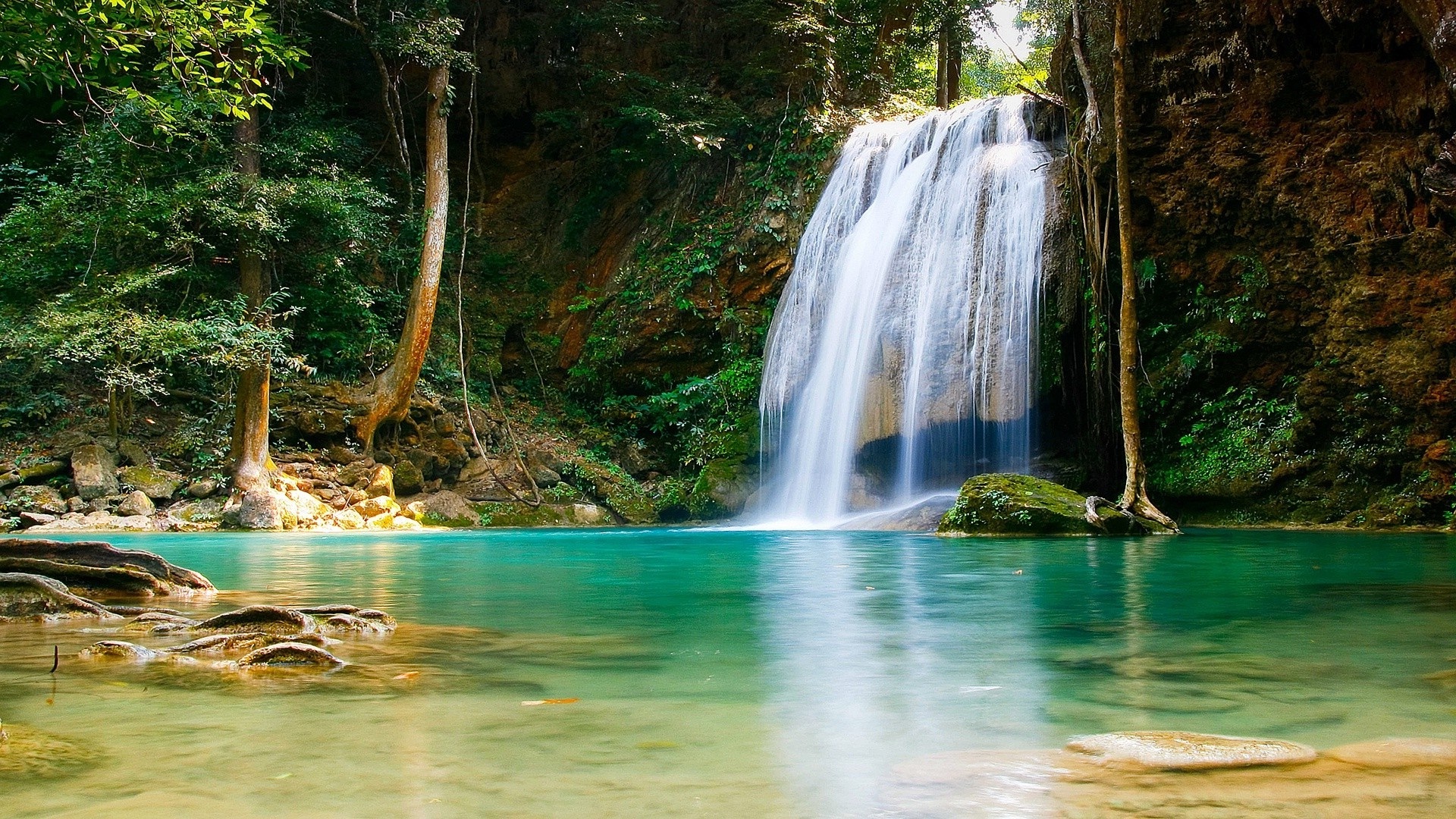 A stunning waterfall cascades into a turquoise pool in a lush tropical forest, creating a serene nature background