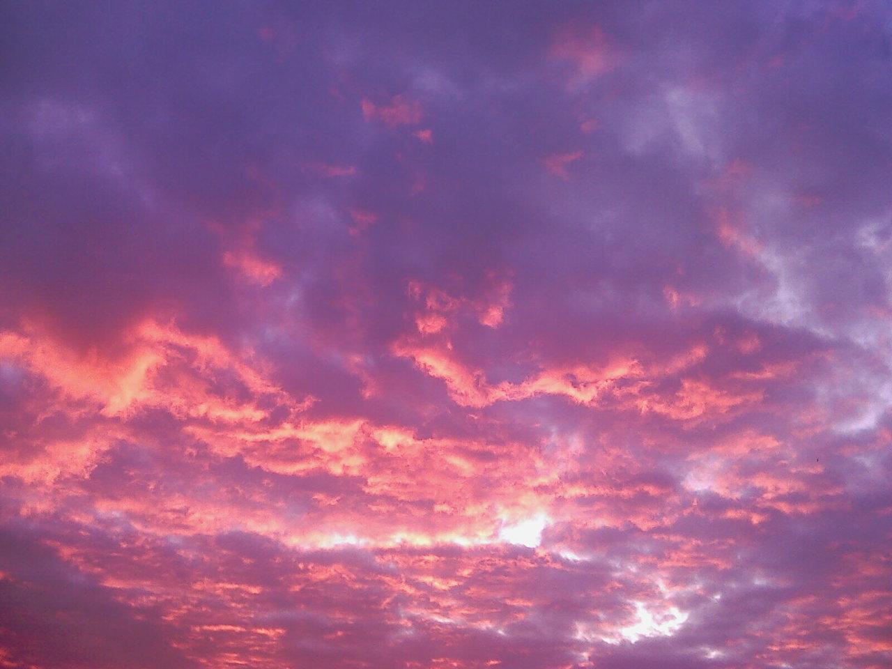 Quotes About Pink Skies QuotesGram
