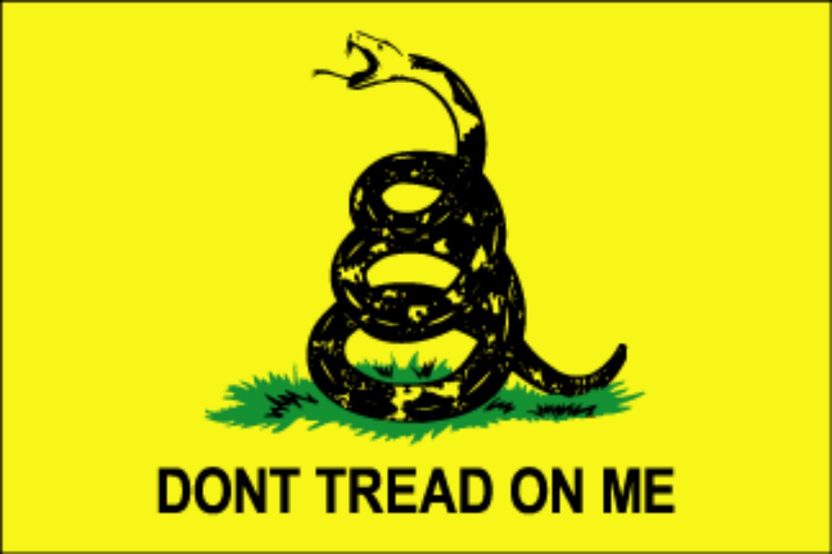 Buy Gadsden Dont Tread on Me Distressed American Flag Online in India   Etsy