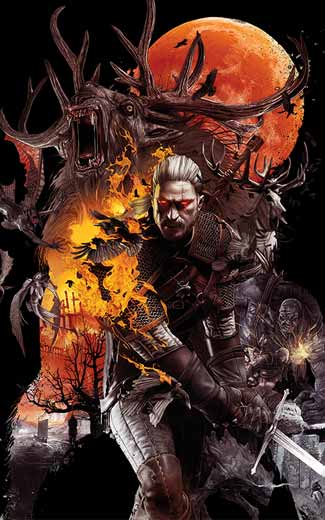The Witcher 3 Wild Hunt mobile wallpaper or background 22 325x520