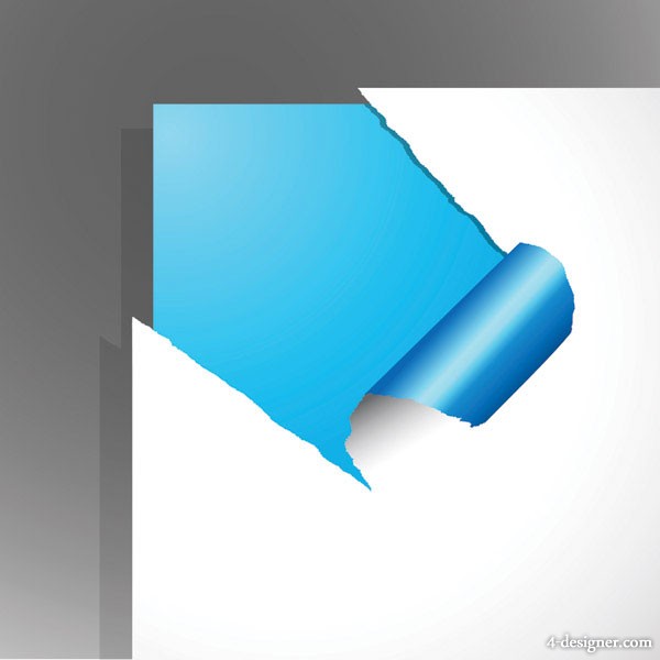 tear torn tear paper exposed Vector