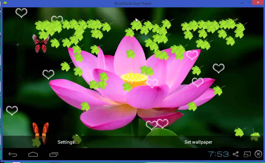 Rose Wallpapers: Free HD Download [500+ HQ] | Unsplash