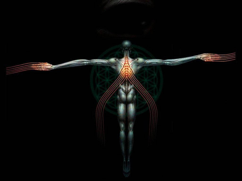 The Song You Lied By Rock Band Tool Wallpaper
