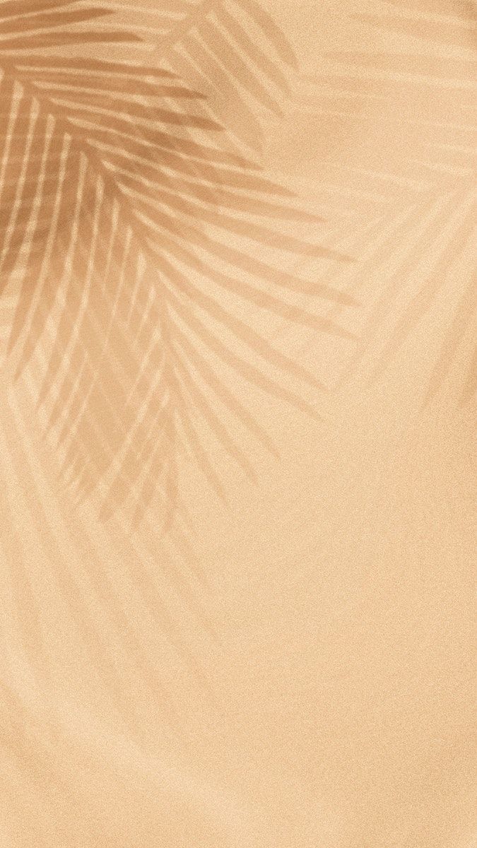 Palm Leaves Shadow On A Beige Background Image By Rawpixel