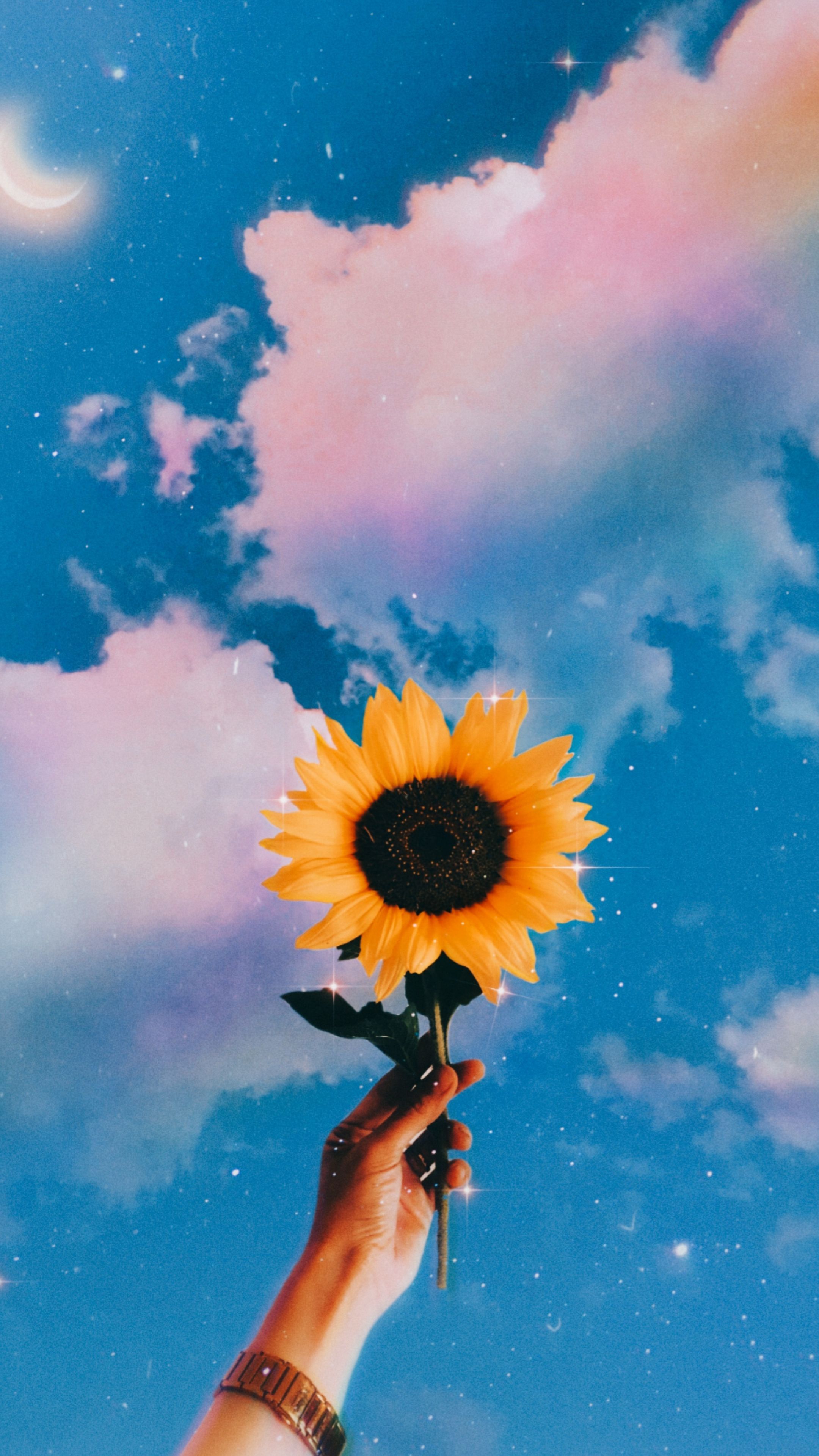 Tiktok Aesthetic Wallpaper 4k