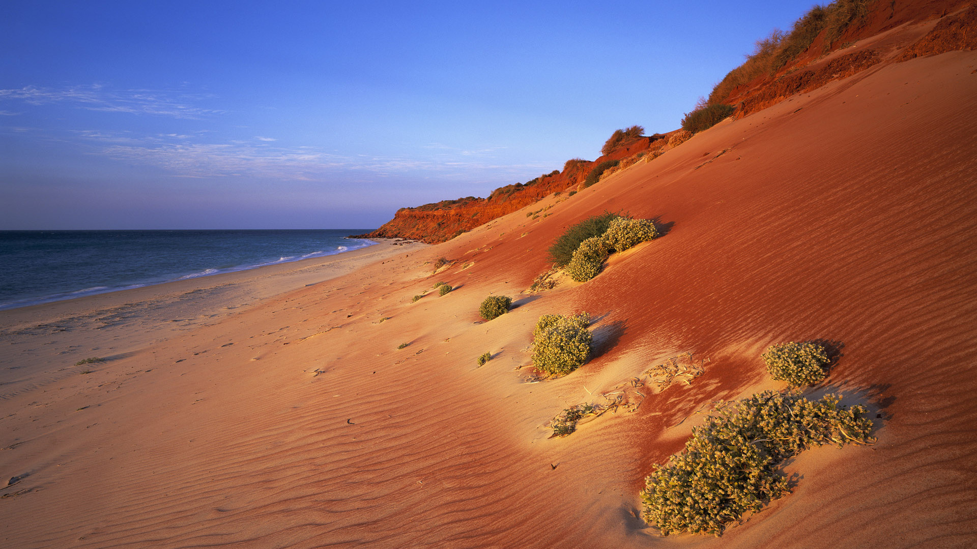 Wallpaper Sea Desert Coast