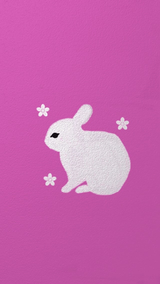 Easter Bunny Iphone Wallpaper 640x1136