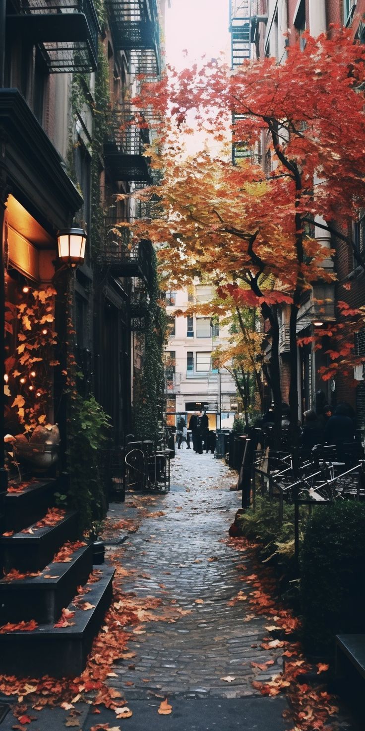Gorgeous Fall Phone Wallpaper In