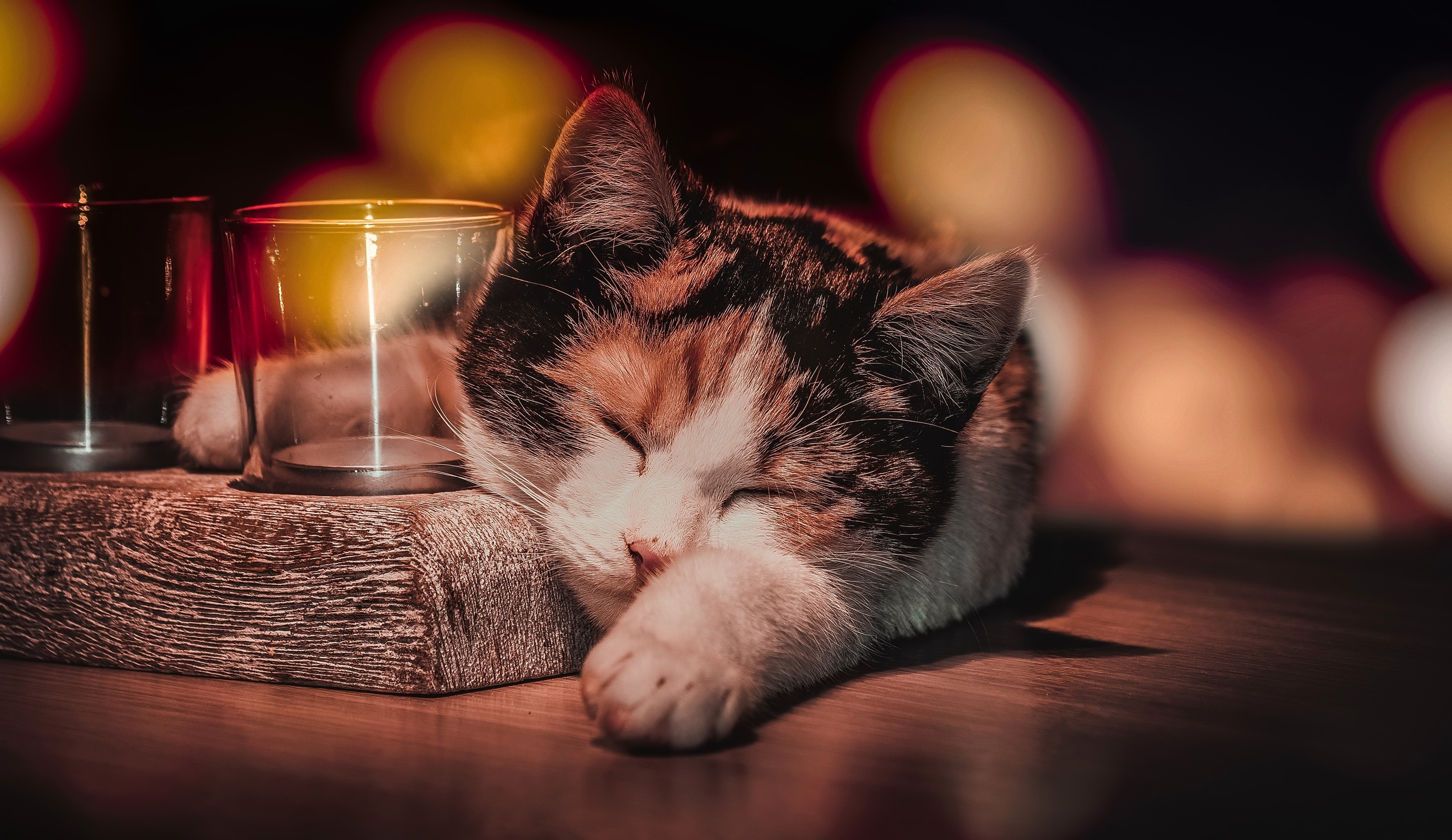 A calico kitten sleeps peacefully next to candle holders on a wooden surface, with warm, bokeh lights in the background
