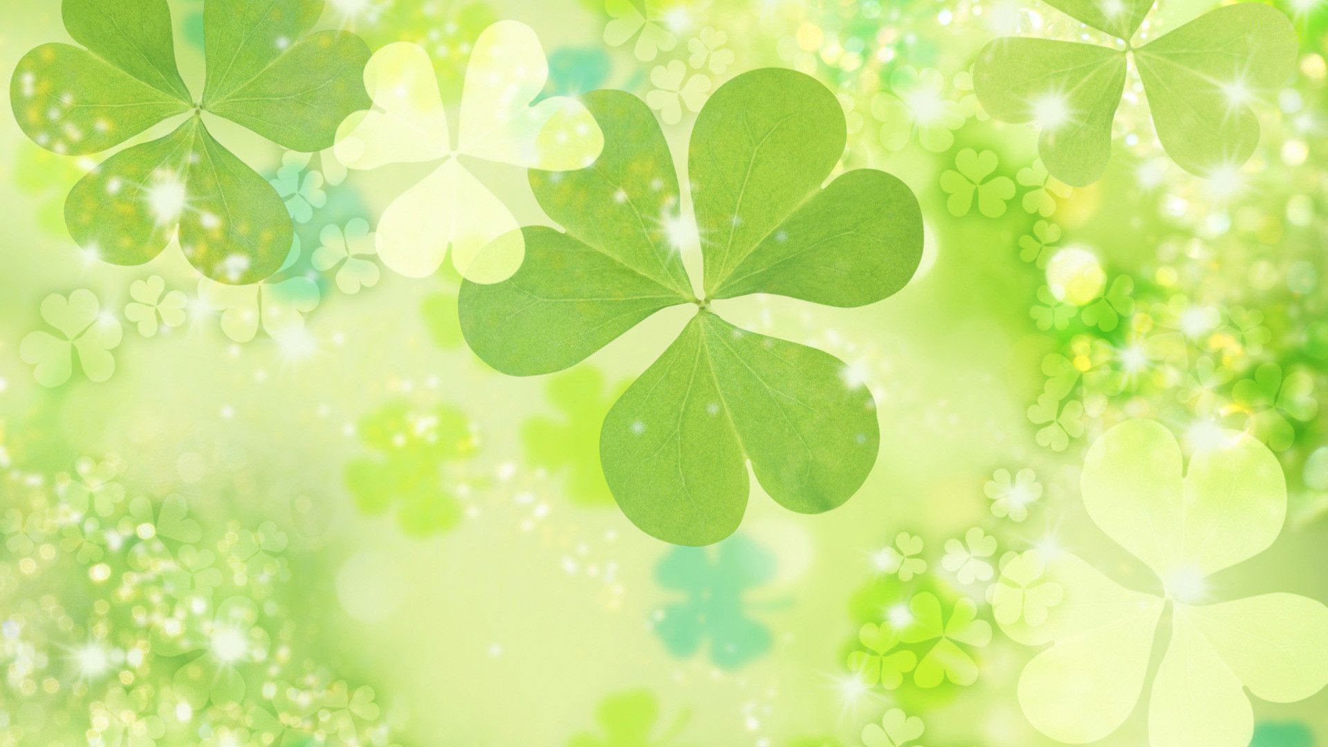 Shamrock Wallpaper Desktop