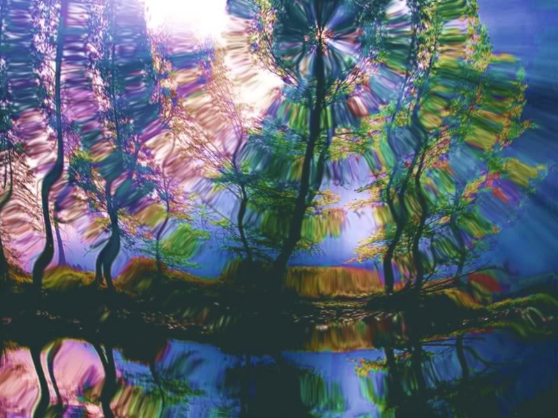 psychedelic nature wallpapers