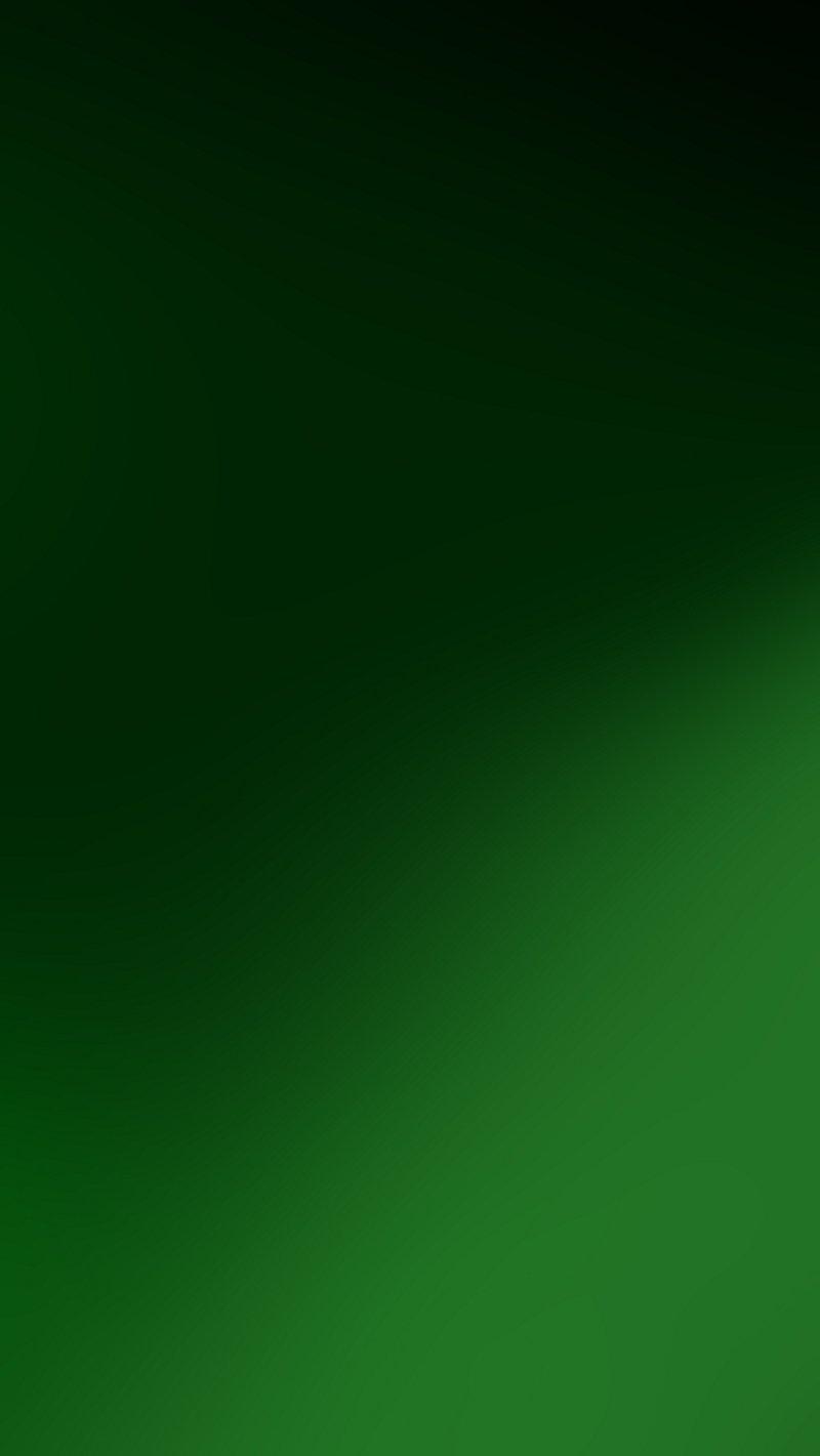 Plain Dark Green Background Images Free Photos PNG Stickers