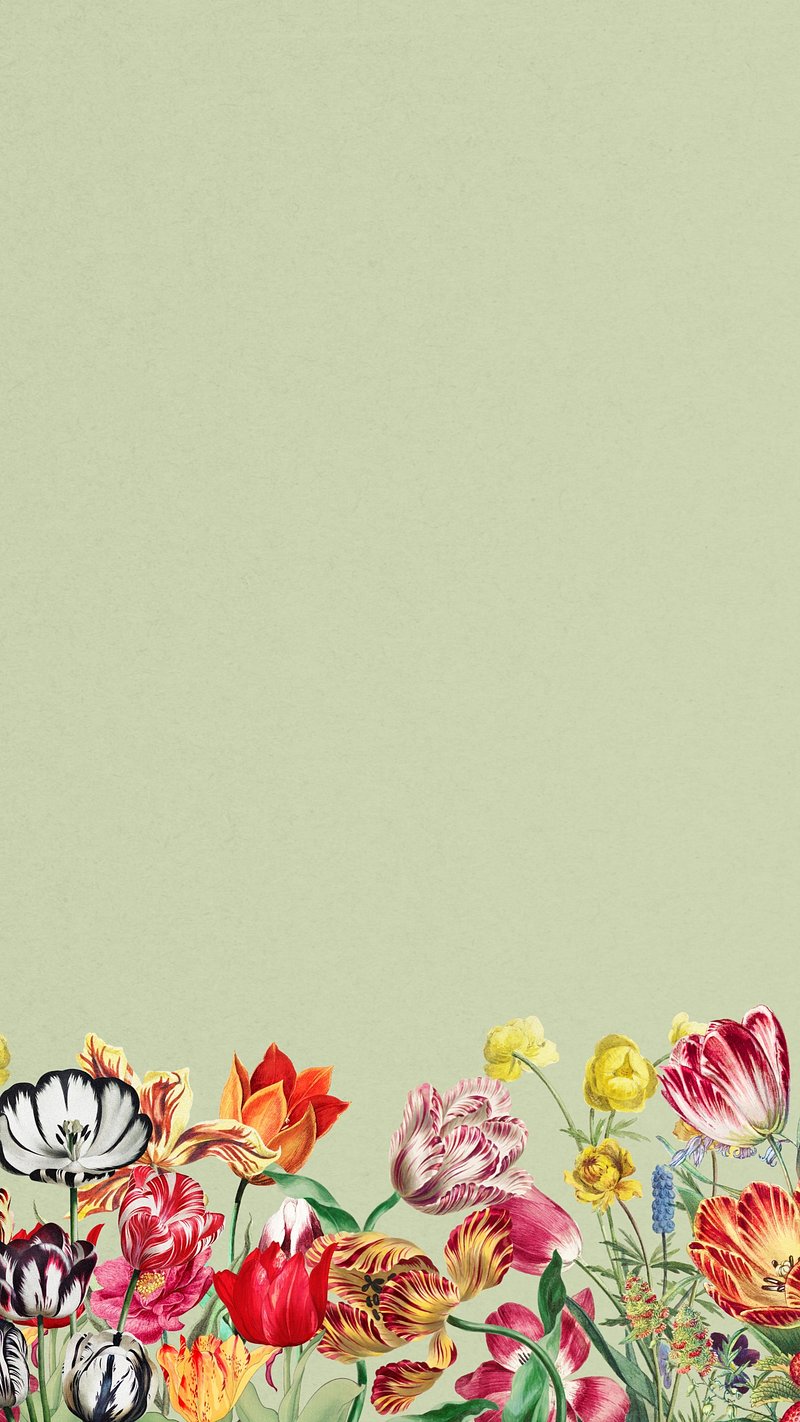 Tulips iPhone Wallpaper Image