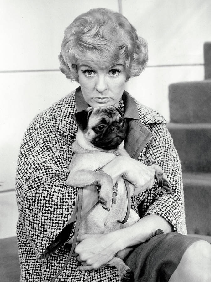 Elaine Stritch Wallpaper
