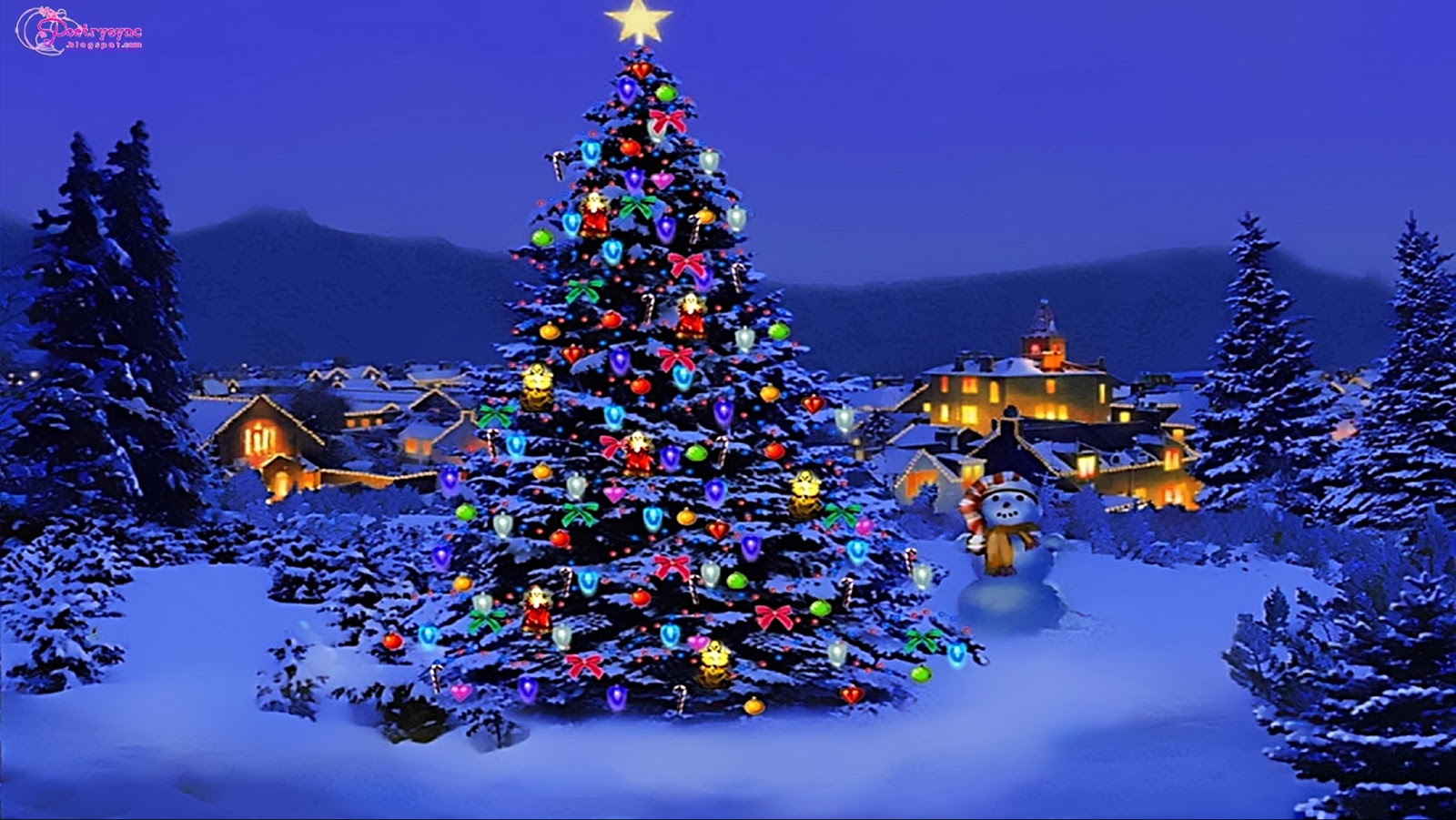 Christmas Trees In Snow Tree Lights Idea Of