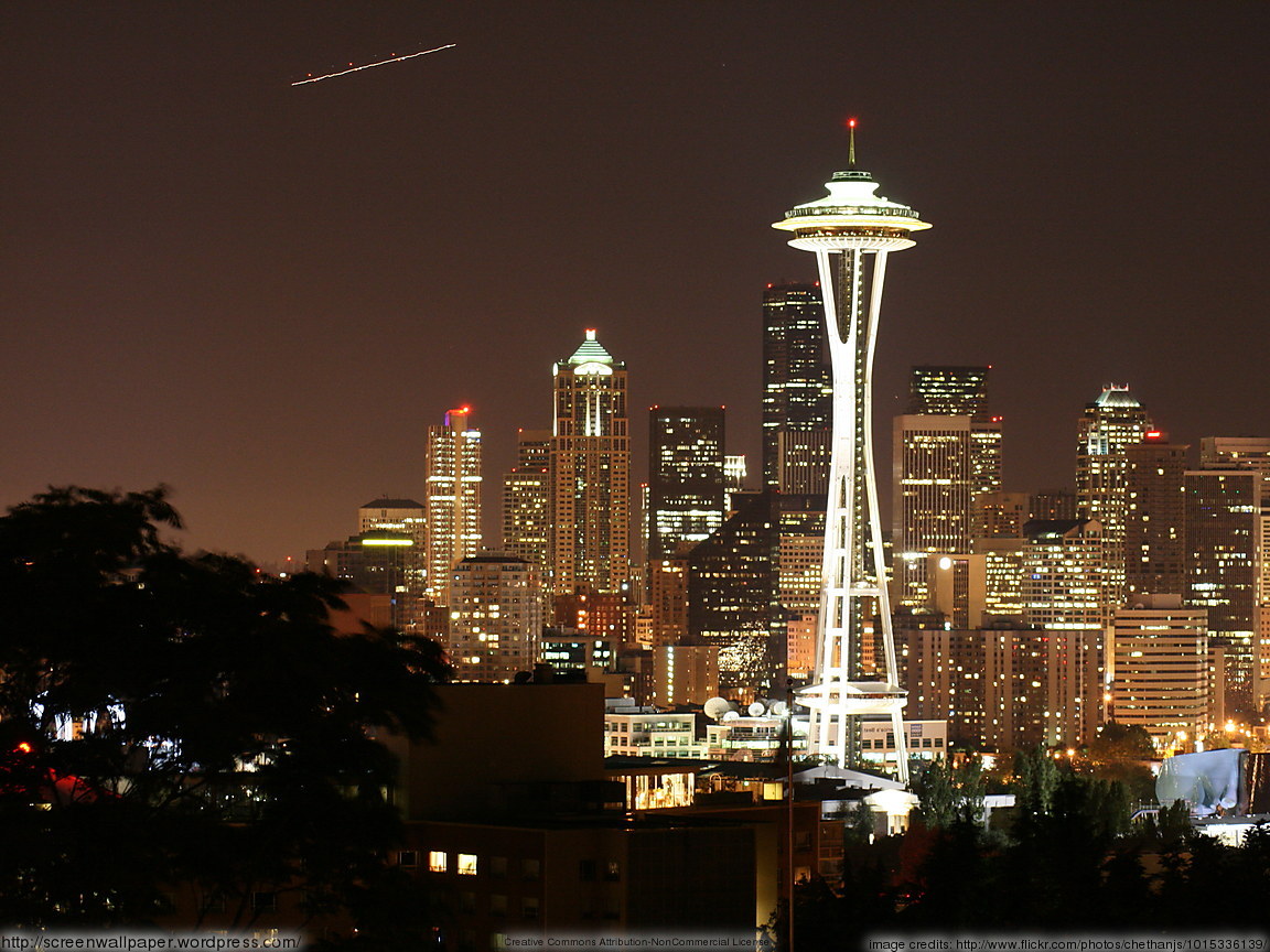 Seattle Space Needle Skyline Just Great Wallpaper