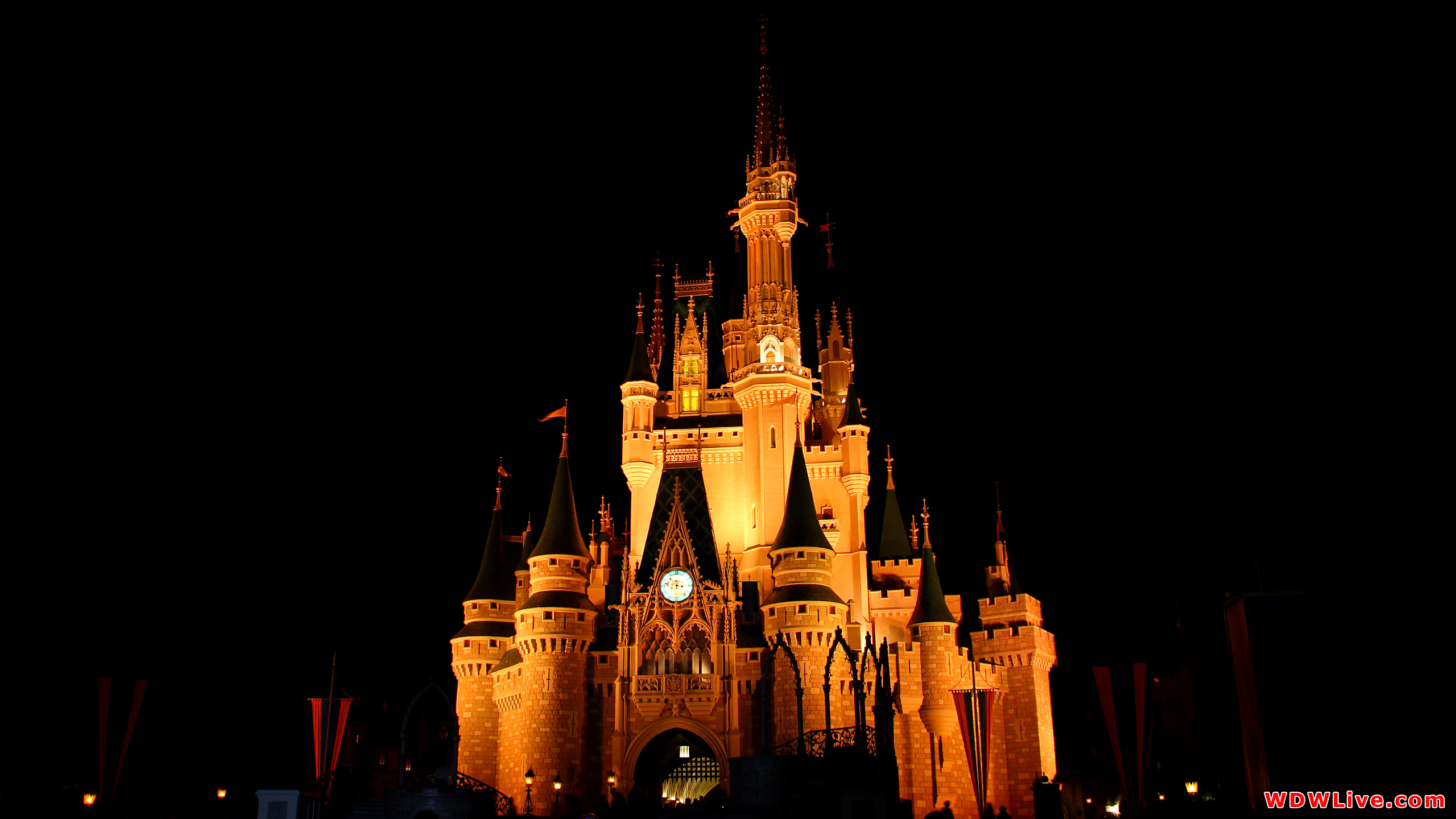 Cinderella Castle At Night Wallpaper