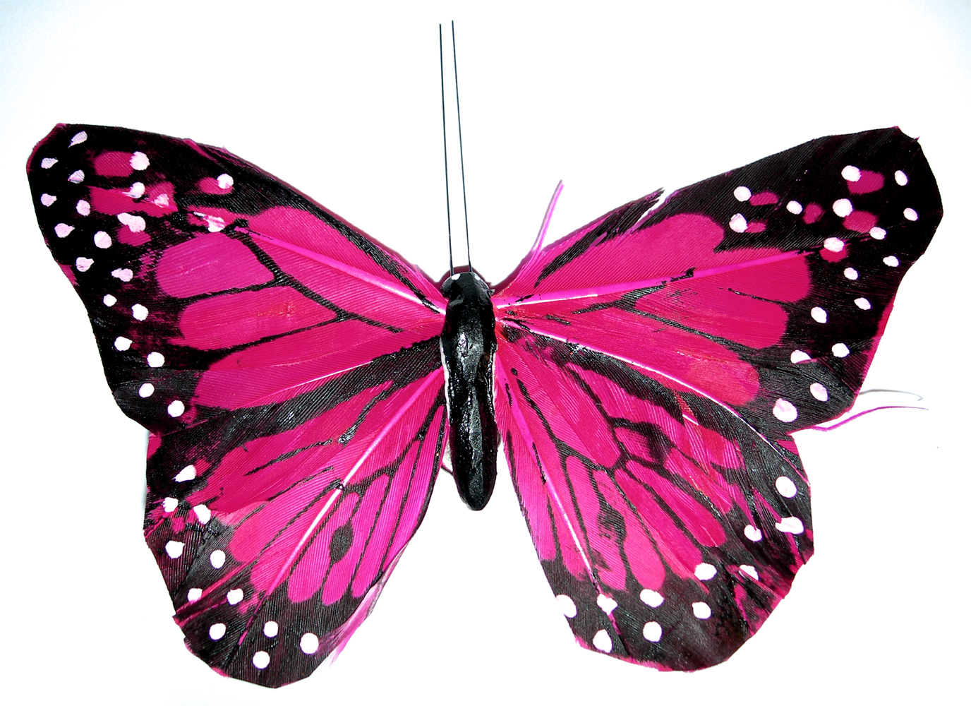 Pink Butterfly Wallpaper Designs