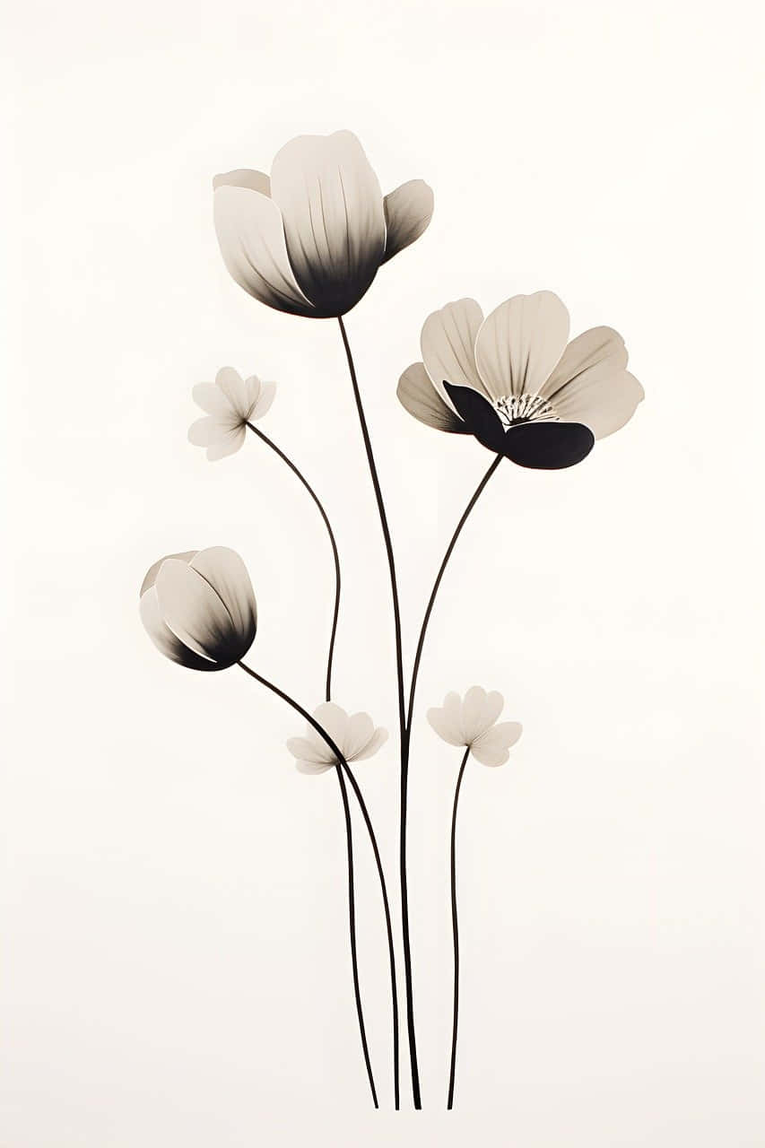 Minimalist Flower Aesthetic Wallpaper