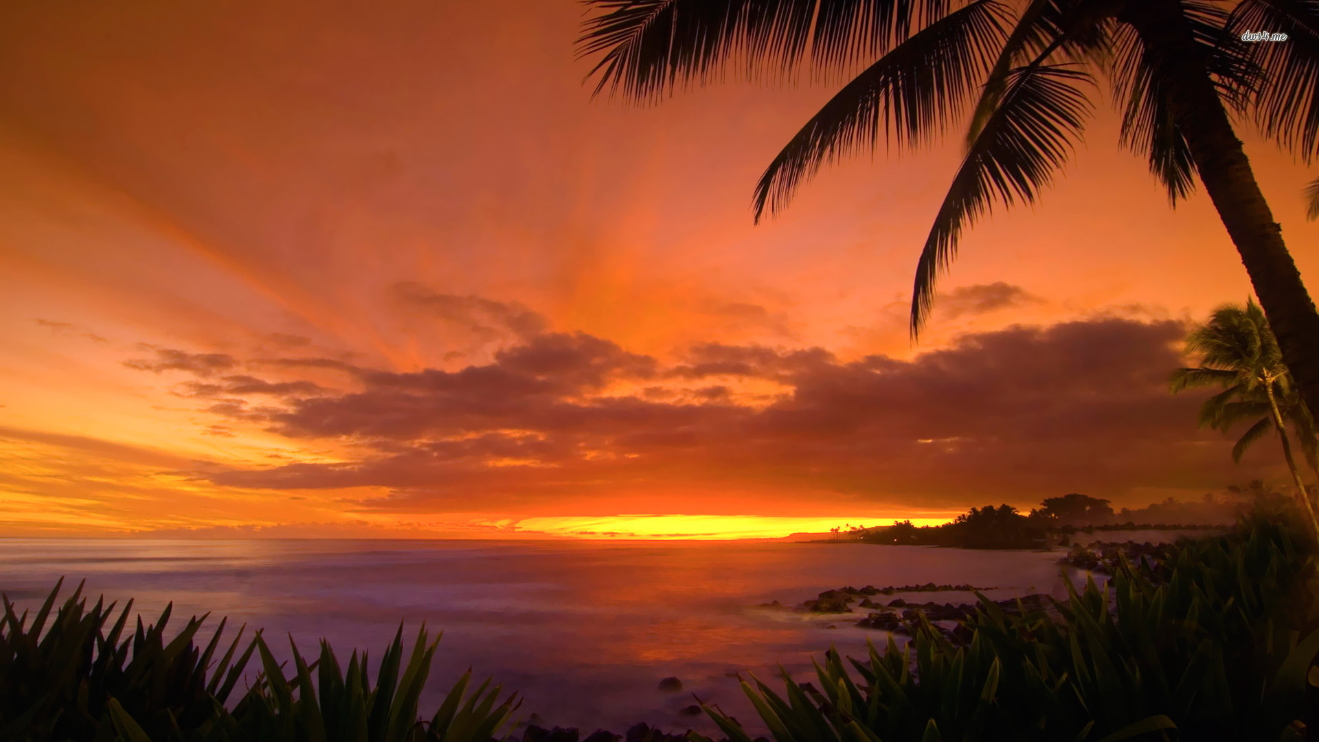 Hawaii Sunset Wallpaper HD