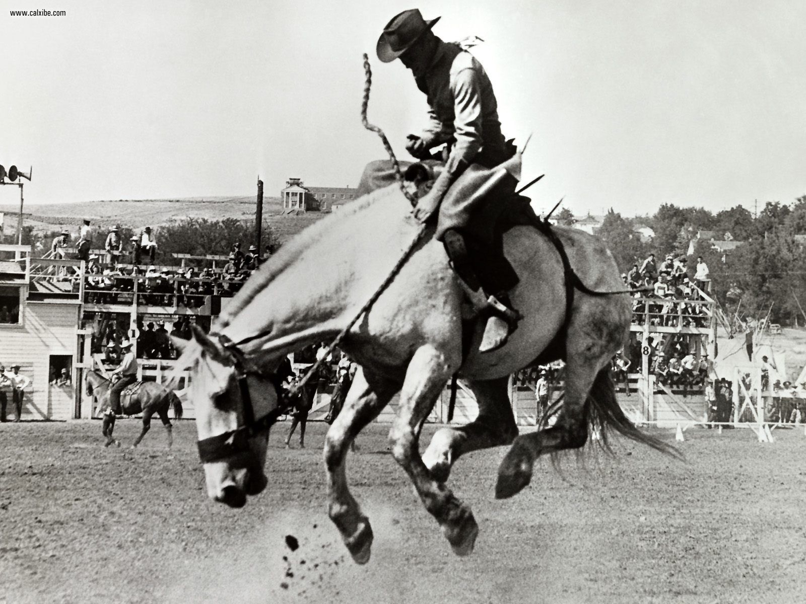 Miscellaneous Old Time Rodeo Picture Nr