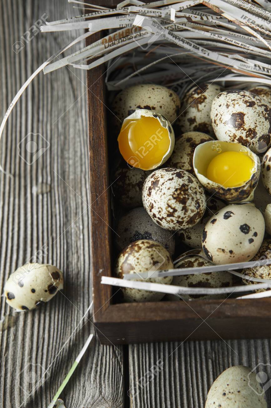 Quail Eggs Flat Lay Position With Small On The