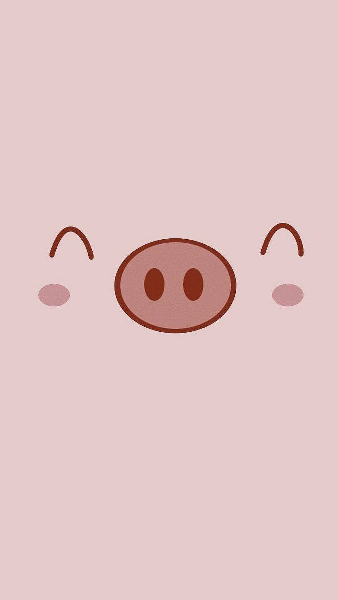 Cute Pig Background Wallpaper