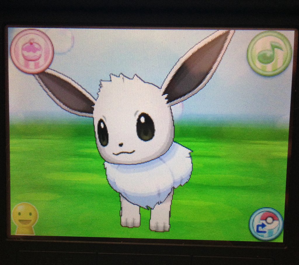 Other Otterro My Second Shiny Eevee That I Haven T