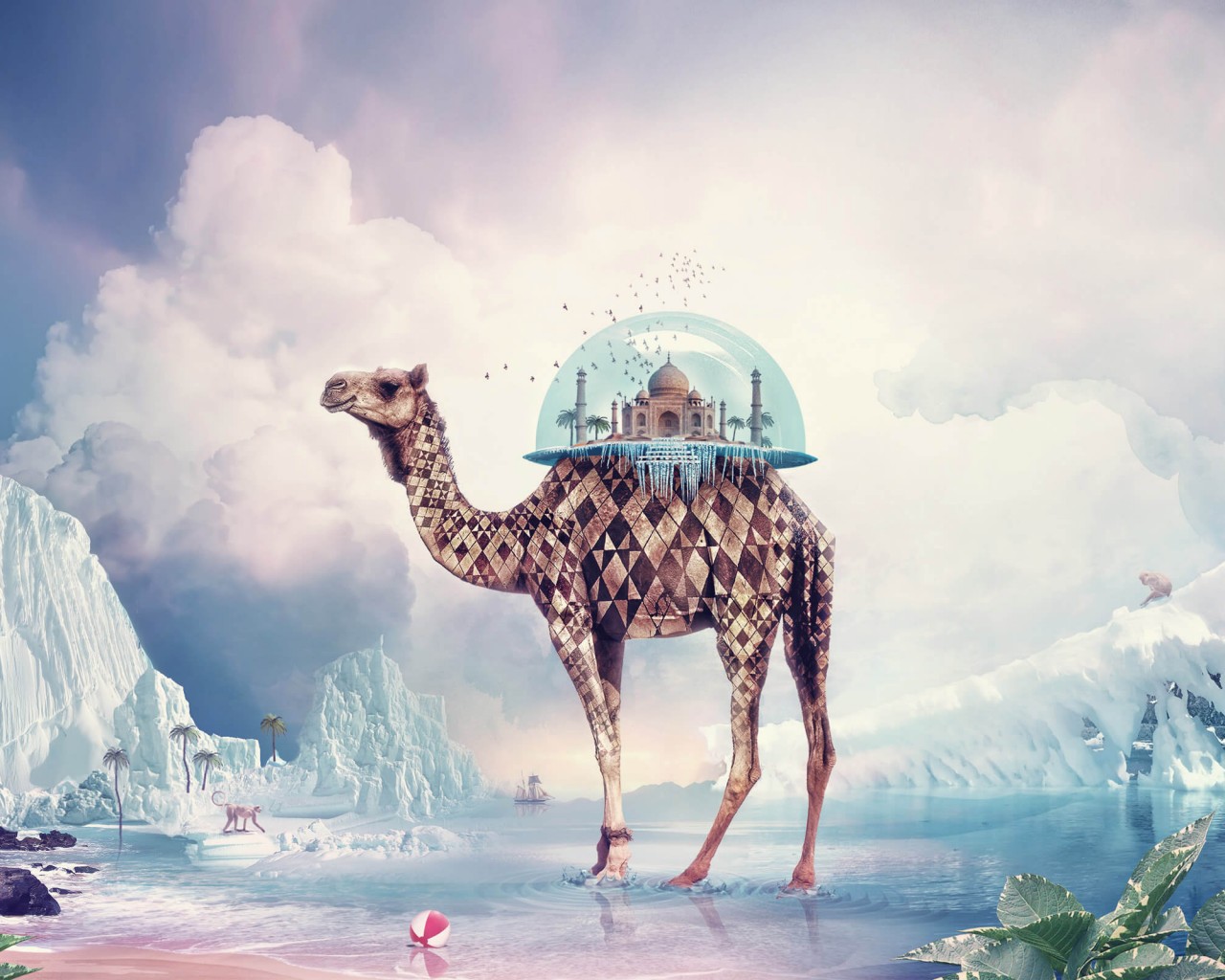 Fantasy Camel HD Wallpaper For X HDwallpaper