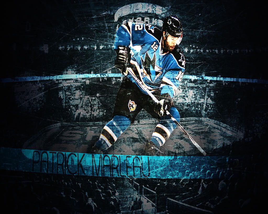 Wallpaper Talk About San Jose Sharks Hockey Chatroom