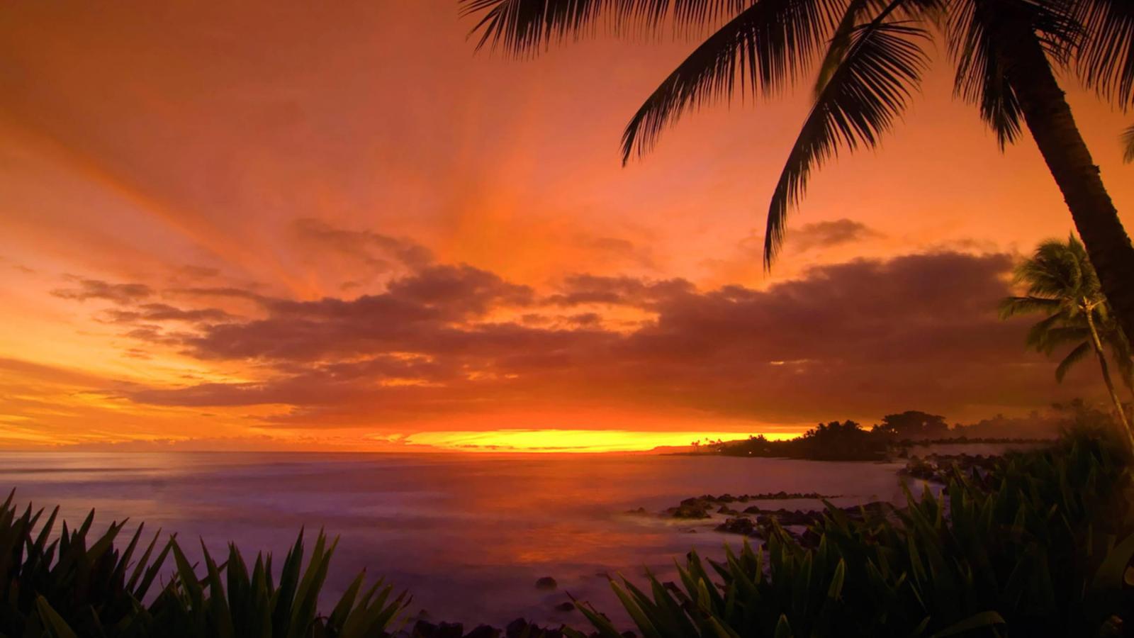 Tropical island sunset HQ WALLPAPER   90032 1600x900