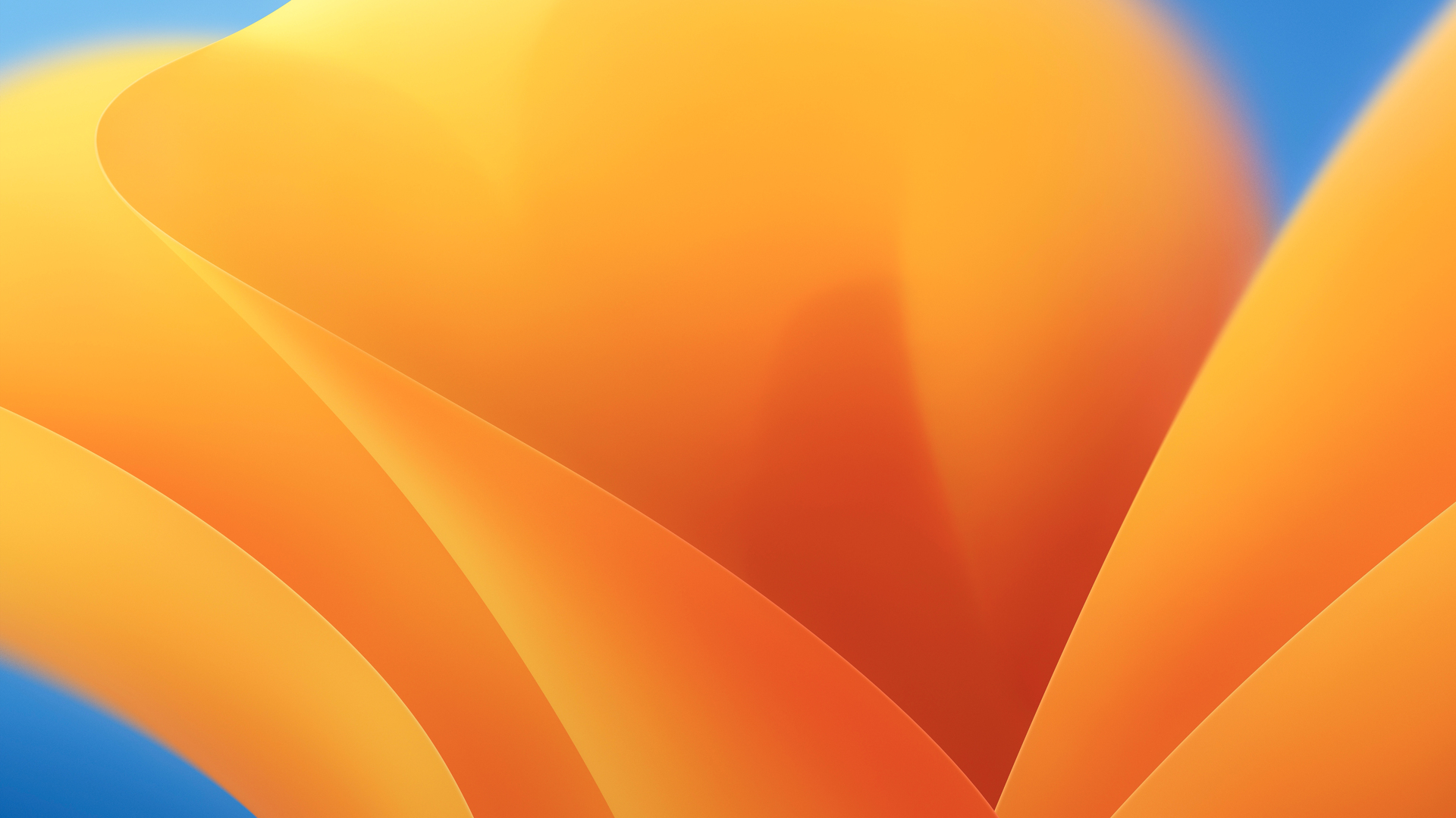 Abstract orange and blue curves background, perfect for a MacBook wallpaper
