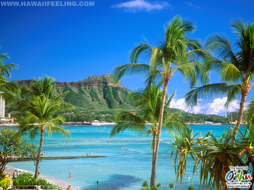 Nature photo wallpaper of hawaii HAWAII feeling