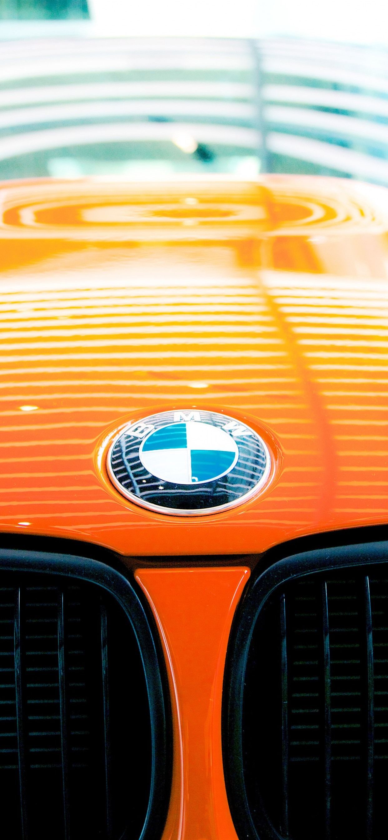 Close-up of a BMW logo on a vibrant orange car hood, reflecting the lines of a nearby window